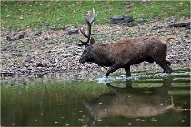 Boutissaint D5 17-10-10 1141   Photos ACG 2017