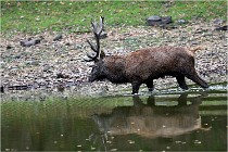 Boutissaint D5 17-10-10 1142   Photos ACG 2017