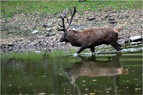 Boutissaint D5 17-10-10 1143   Photos ACG 2017