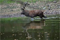 Boutissaint D5 17-10-10 1148   Photos ACG 2017