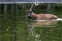 Boutissaint D5 17-10-10 1152   Photos ACG 2017