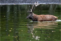 Boutissaint D5 17-10-10 1153   Photos ACG 2017