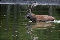 Boutissaint D5 17-10-10 1154   Photos ACG 2017