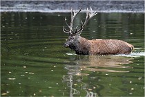 Boutissaint D5 17-10-10 1156   Photos ACG 2017