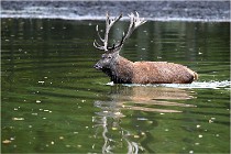 Boutissaint D5 17-10-10 1157   Photos ACG 2017