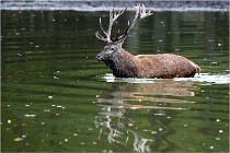 Boutissaint D5 17-10-10 1159   Photos ACG 2017