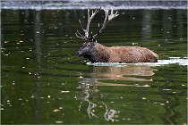 Boutissaint D5 17-10-10 1160   Photos ACG 2017