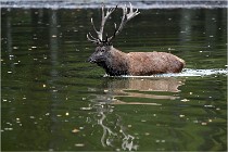 2017-10-09  Boutissaint