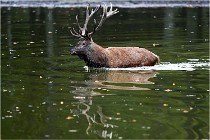 Boutissaint D5 17-10-10 1163   Photos ACG 2017