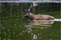 Boutissaint D5 17-10-10 1164   Photos ACG 2017