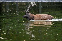 Boutissaint D5 17-10-10 1166   Photos ACG 2017