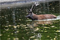 Boutissaint D5 17-10-10 1168   Photos ACG 2017