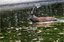 Boutissaint D5 17-10-10 1169   Photos ACG 2017