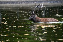 Boutissaint D5 17-10-10 1171   Photos ACG 2017