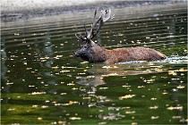 Boutissaint D5 17-10-10 1174   Photos ACG 2017