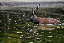 Boutissaint D5 17-10-10 1176   Photos ACG 2017