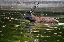 Boutissaint D5 17-10-10 1178   Photos ACG 2017