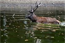 Boutissaint D5 17-10-10 1185   Photos ACG 2017