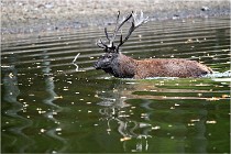 Boutissaint D5 17-10-10 1186   Photos ACG 2017