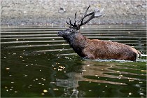 Boutissaint D5 17-10-10 1194   Photos ACG 2017