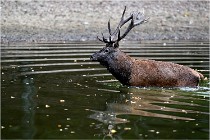 Boutissaint D5 17-10-10 1195   Photos ACG 2017