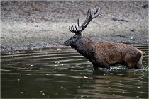 Boutissaint D5 17-10-10 1200   Photos ACG 2017