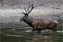 Boutissaint D5 17-10-10 1201   Photos ACG 2017