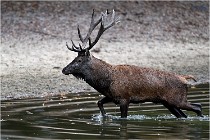 Boutissaint D5 17-10-10 1204   Photos ACG 2017