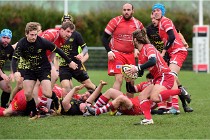 D4s Rugby P 18-01-28 67   Photos ACG 2018