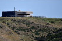 D500 Texel 18-05-26 00176  3  Photos ACG 2018