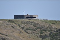 D500 Texel 18-05-26 00176  9  Photos ACG 2018