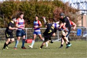Rugby Pontoise 19-02-17 6583   Photos ACG 2018