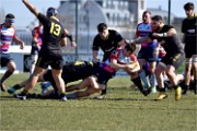 Rugby Pontoise 19-02-17 6636   Photos ACG 2018