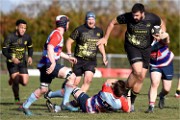 Rugby Pontoise 19-02-17 6745   Photos ACG 2018