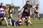Rugby Pontoise 19-02-17 6756   Photos ACG 2018