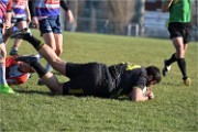 Rugby Pontoise 19-02-17 6806   Photos ACG 2018