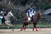 Polo Apremont 19-03-24 052   Photos ACG 2018