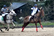 Polo Apremont 19-03-24 054   Photos ACG 2018
