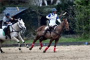 Polo Apremont 19-03-24 055   Photos ACG 2018