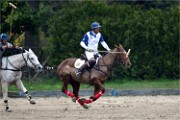 Polo Apremont 19-03-24 057   Photos ACG 2018
