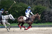 Polo Apremont 19-03-24 060   Photos ACG 2018