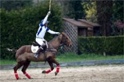 Polo Apremont 19-03-24 073   Photos ACG 2018