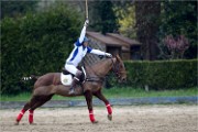 Polo Apremont 19-03-24 074   Photos ACG 2018