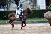 Polo Apremont 19-03-24 078   Photos ACG 2018