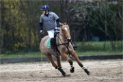 Polo Apremont 19-03-24 082   Photos ACG 2018