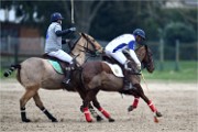 Polo Apremont 19-03-24 085   Photos ACG 2018