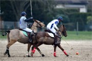 Polo Apremont 19-03-24 086   Photos ACG 2018