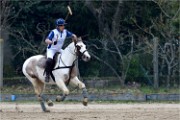 Polo Apremont 19-03-24 096   Photos ACG 2018