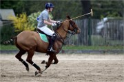 Polo Apremont 19-03-24 101   Photos ACG 2018