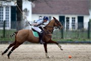 Polo Apremont 19-03-24 103   Photos ACG 2018